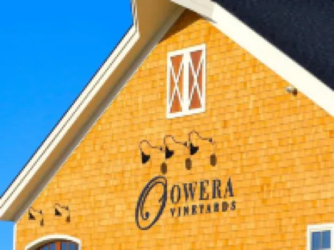 スプリングヒル スイーツ バイ マリオット シラキュース キャリア サークル デ・ウィットのホテル