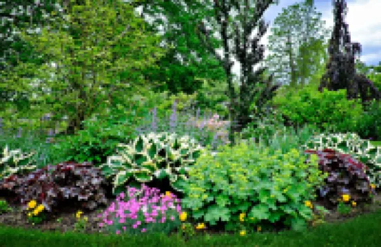 돔스 오브 코르푸  오토그래프 컬렉션  호텔