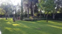 Giardino a 194 - piscina