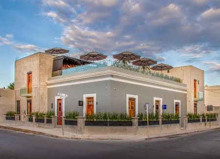 Diez Diez Collection