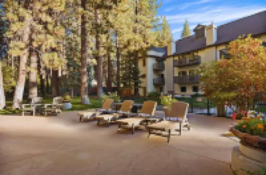 Best Western Big Bear Chateau Hotels in Big Bear Lake