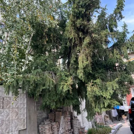 Хостел Edem Bishkek