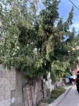 Edem Bishkek