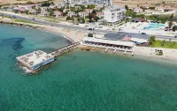 Exotic Hotel & Spa - Bar