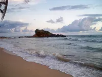 Village Star Rest-Mirissa - Ocean View