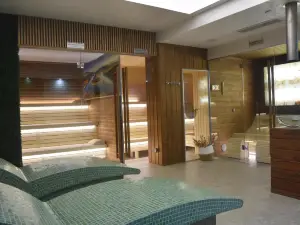 Park Hotel Viasport