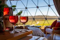 Domescapes in the Vines - 3-Star
