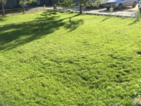 Raduzhnaya Hotel Hotels in Sol-Iletsk