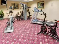 Holiday Inn INDIANAPOLIS - AIRPORT AREA N by IHG - Gym
