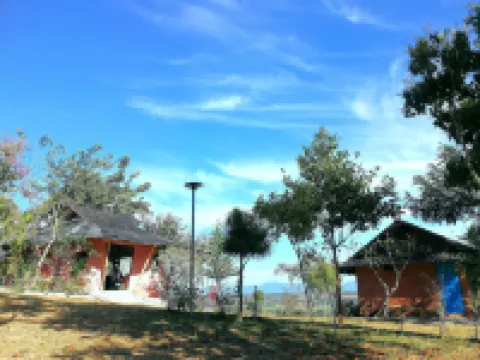 เคลย์คราฟต์ คอฟฟี แกลเลอรี โฮมสเตย์ โรงแรมในอำเภอ เวียงป่าเป้า