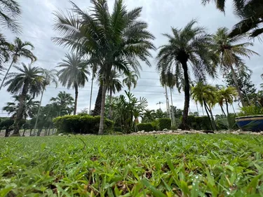 รูปภาพของแสนปาล์ม เทรนนิ่ง โฮม