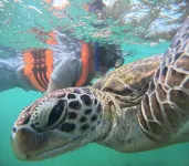 Istana Villa Mirissa