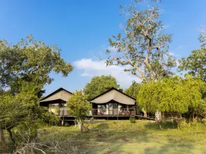 Leopard Trails Yala