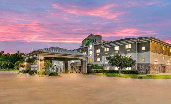 Holiday Inn Express Palestine