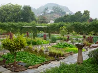 RAAS Devigarh Hotels near Anuvrat Vishwa Bharati