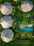 thewakanda A Pramana Experience - Romantisk