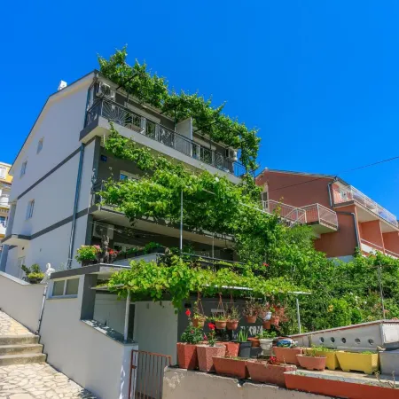 Apartments Brana