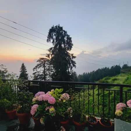 Forest Vibes Kalatop Rooms Restaurant