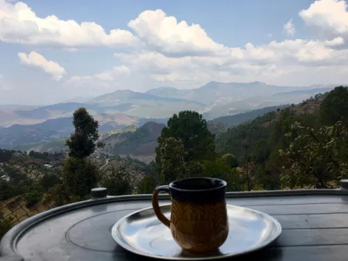 Himalaya View Hotels in Turkaura