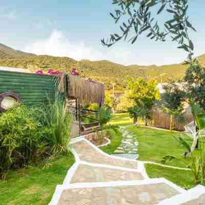 Kaş Joy Glamping Hotel Exterior