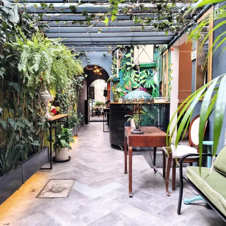 Casa Pánuco