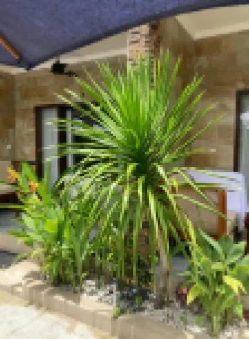 Relax Villas Gili Air