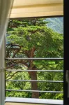 설악호텔 미송 - 마운틴 뷰