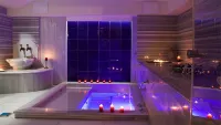 藝術畫廊酒店 - 浪漫/情侶