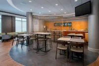 SpringHill Suites Potomac Mills Woodbridge Hotels in Woodbridge