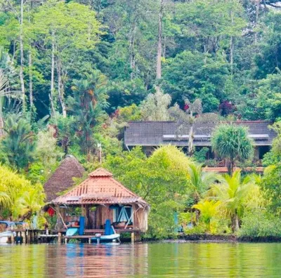 Dolphin Bay Hideaway Hotels in 
