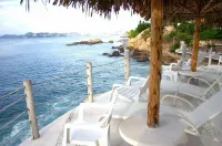 Las Torres Gemelas Acapulco - Ocean View