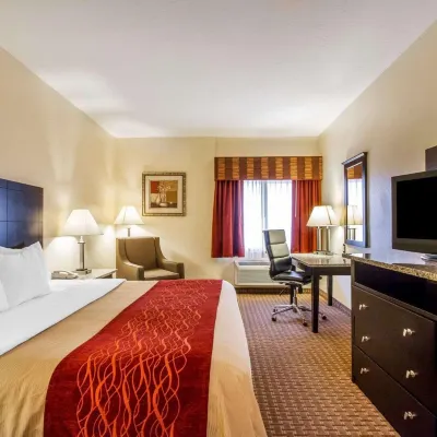 Comfort Inn Near Grand Canyon Hotels near Bearizona Wildlife Park