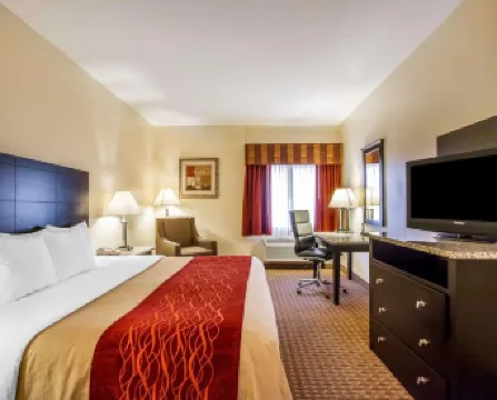 近大峽谷舒適酒店