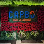 Capbo Capsule Hotel