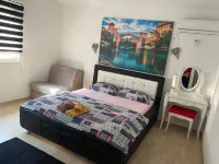 Villa Zigana - Wifi