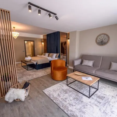 Elexus Apartments Poiana Brasov