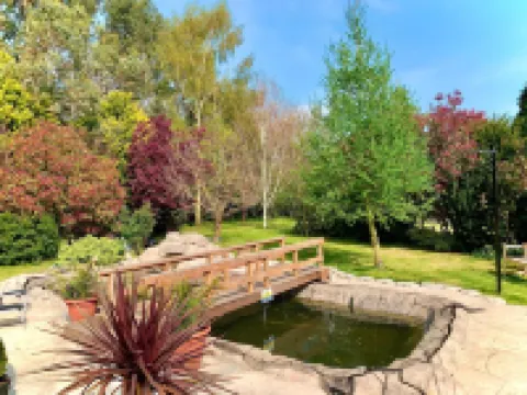 Woodpaddock Bed & Breakfast March otelleri