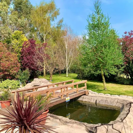 Woodpaddock Bed & Breakfast