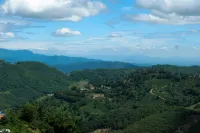 AMA MAESALONG Hotel a Distretto di Mae Fa Luang