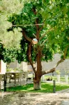 MarNar Hotel