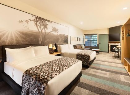 Mountain Modern Sedona, Tapestry Collection by Hilton