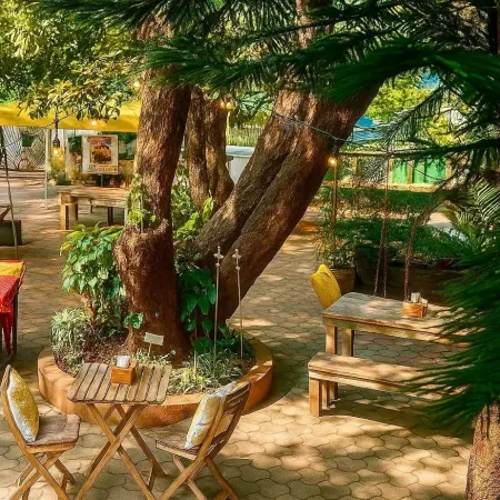 Casa Do Leão - Heritage Boutique Stay Отели в г. Нерул