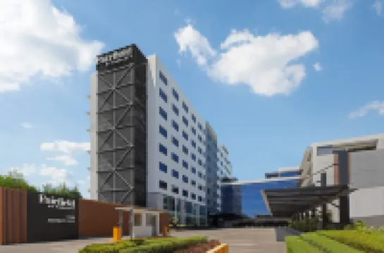 宿務曼達約市萬豪萬楓酒店 酒店