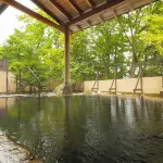 Kyukamura Tsumagoi-Kazawa - Hot Springs