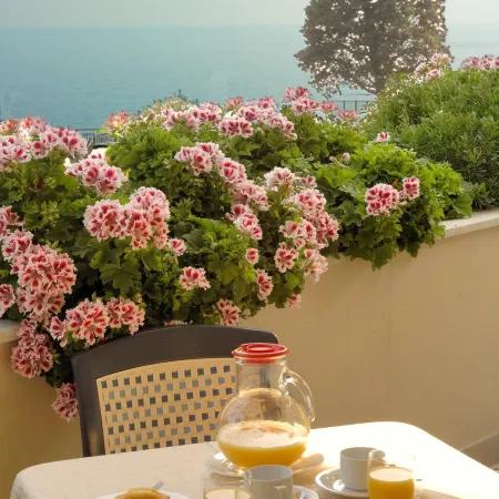Hotel le Roi