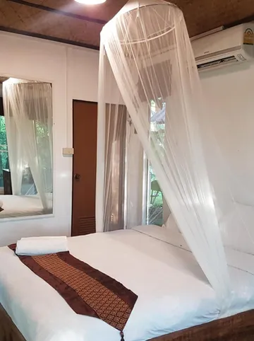 รูปภาพของช้างปาย