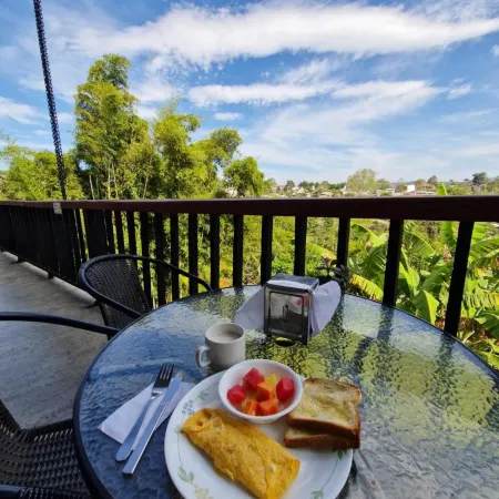 Coffee Tree Boutique Hostel