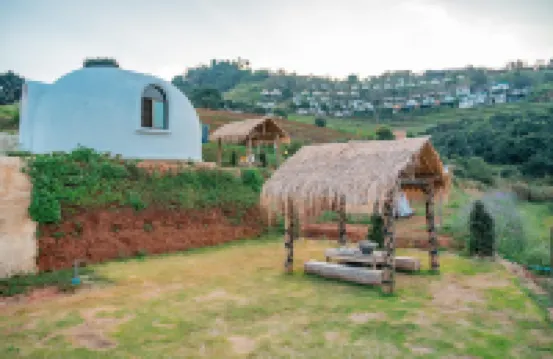 โดมอินดอย