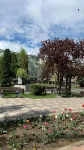 Best Apartment City Hall Hotels in Suceava