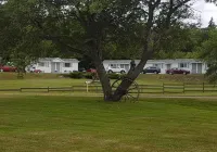 MacNeil's Motel - Motels